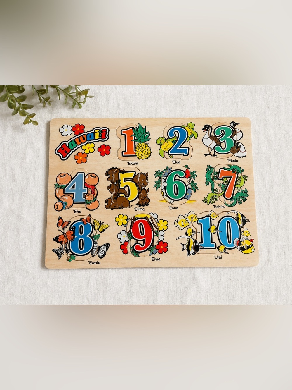 Colorful Wooden Number Puzzle for Kids